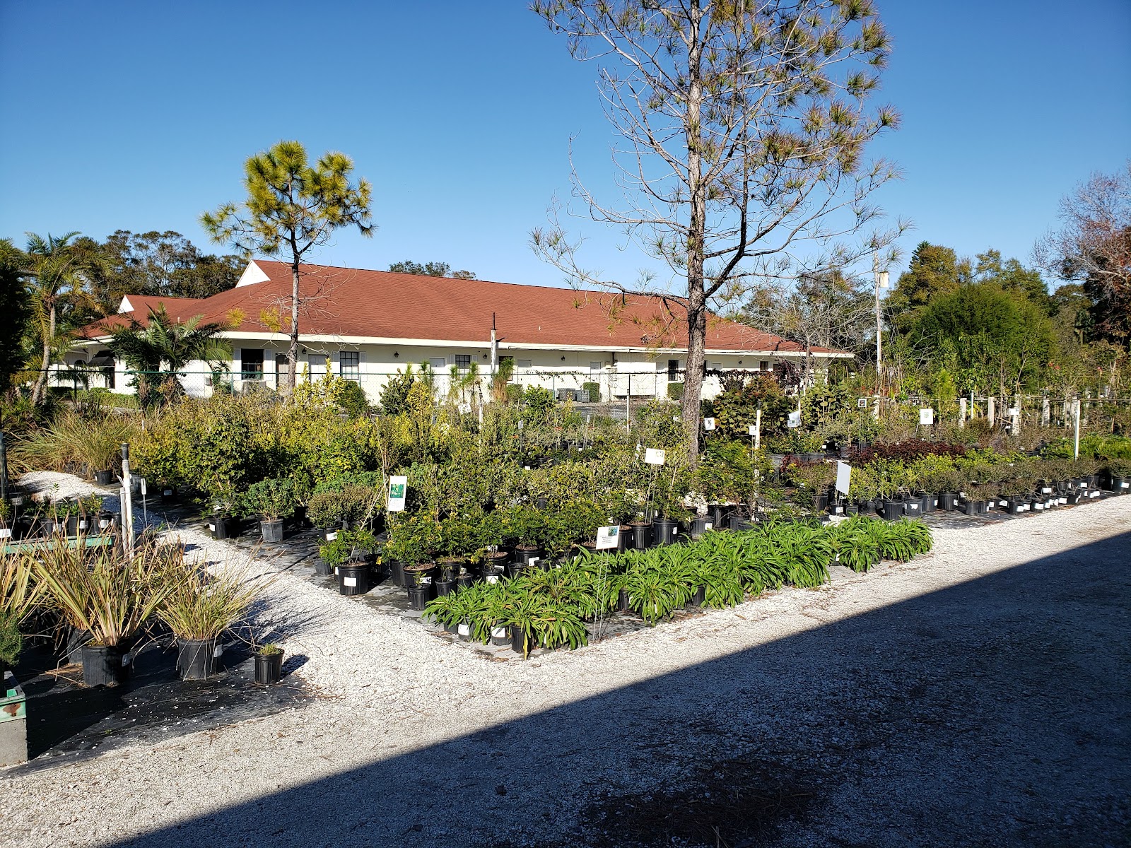 Wilcox Nursery and Landscape