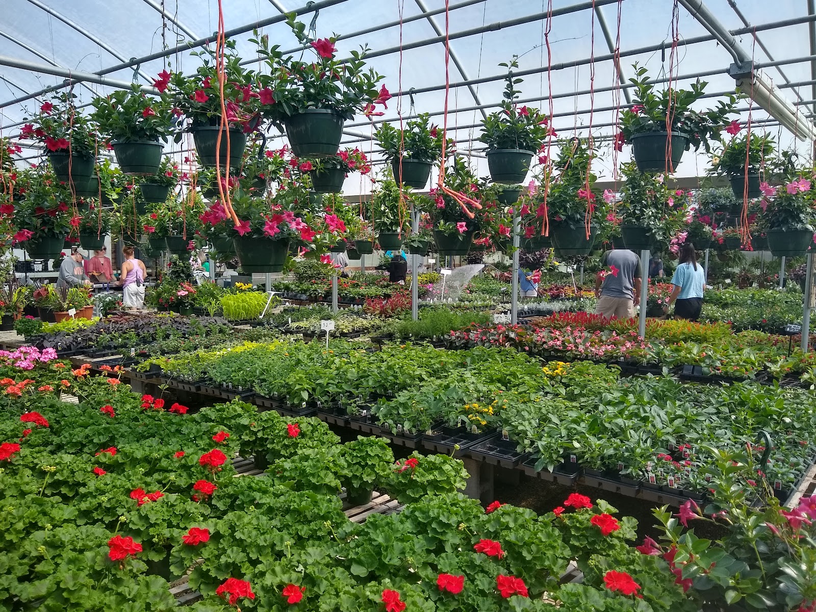 Williams Greenhouse