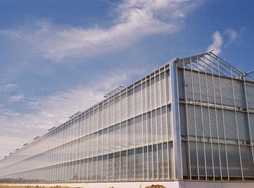 Williamson Greenhouses Inc