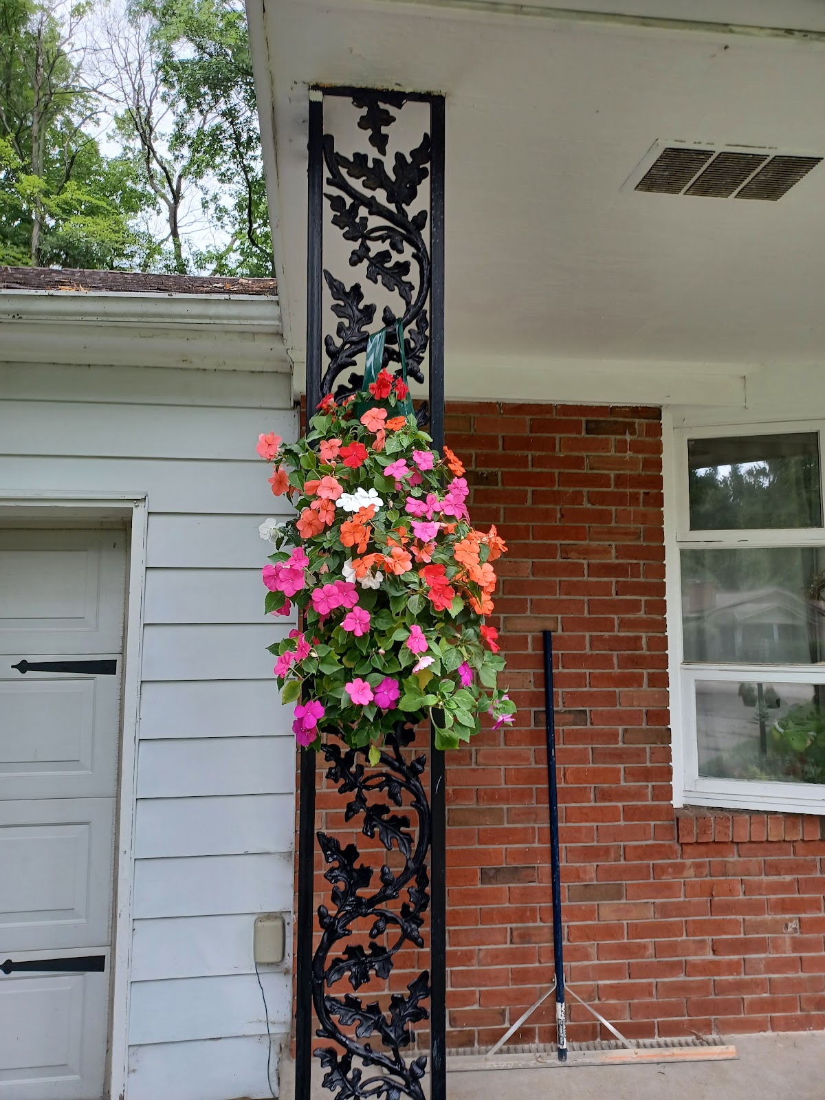 Williamston Greenhouse & Florist