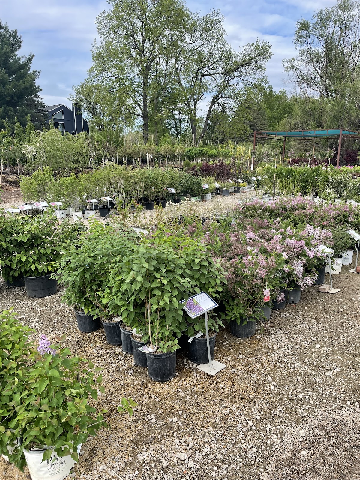 Willow Greenhouse