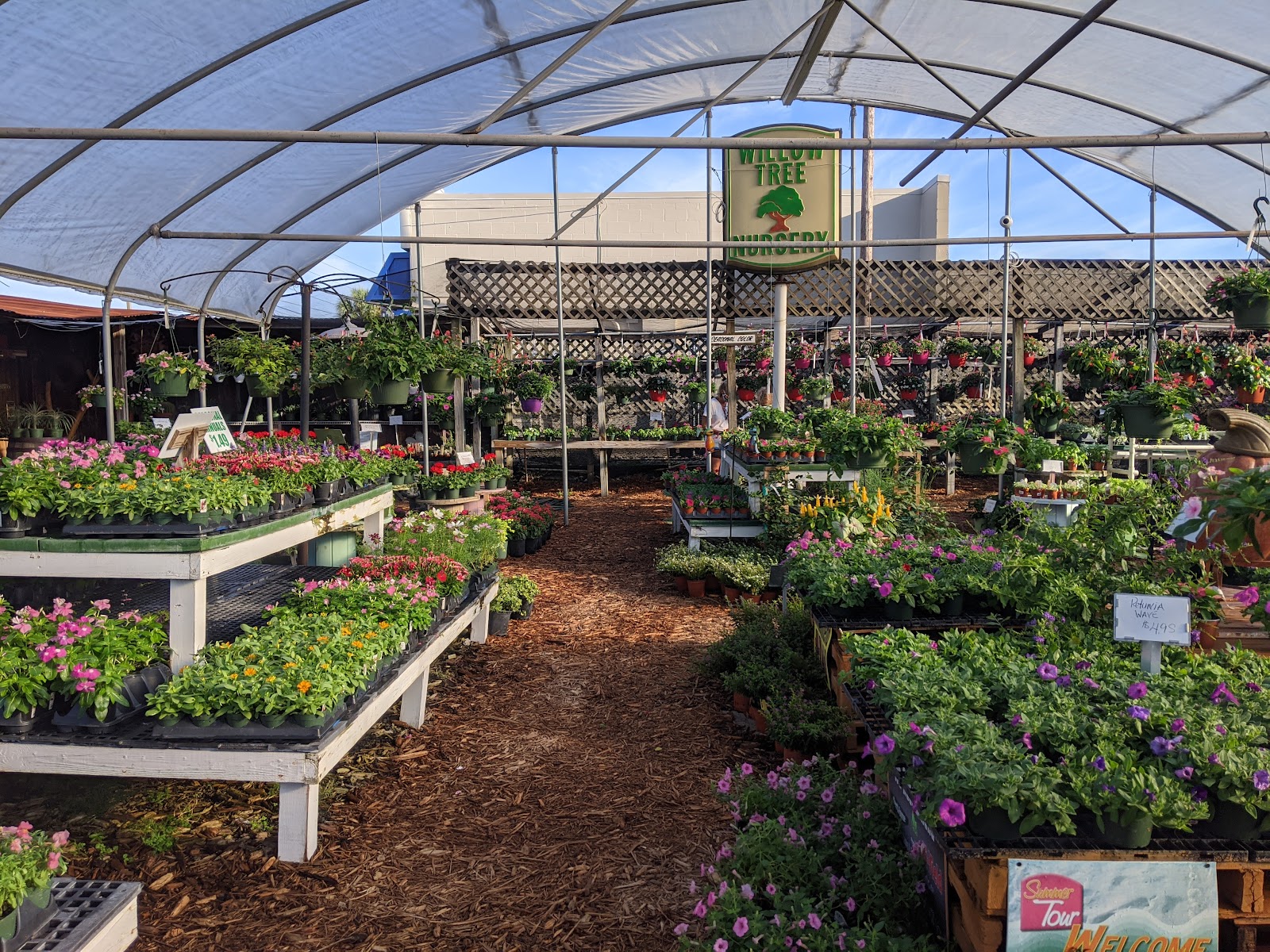 Willow Tree Nursery Inc
