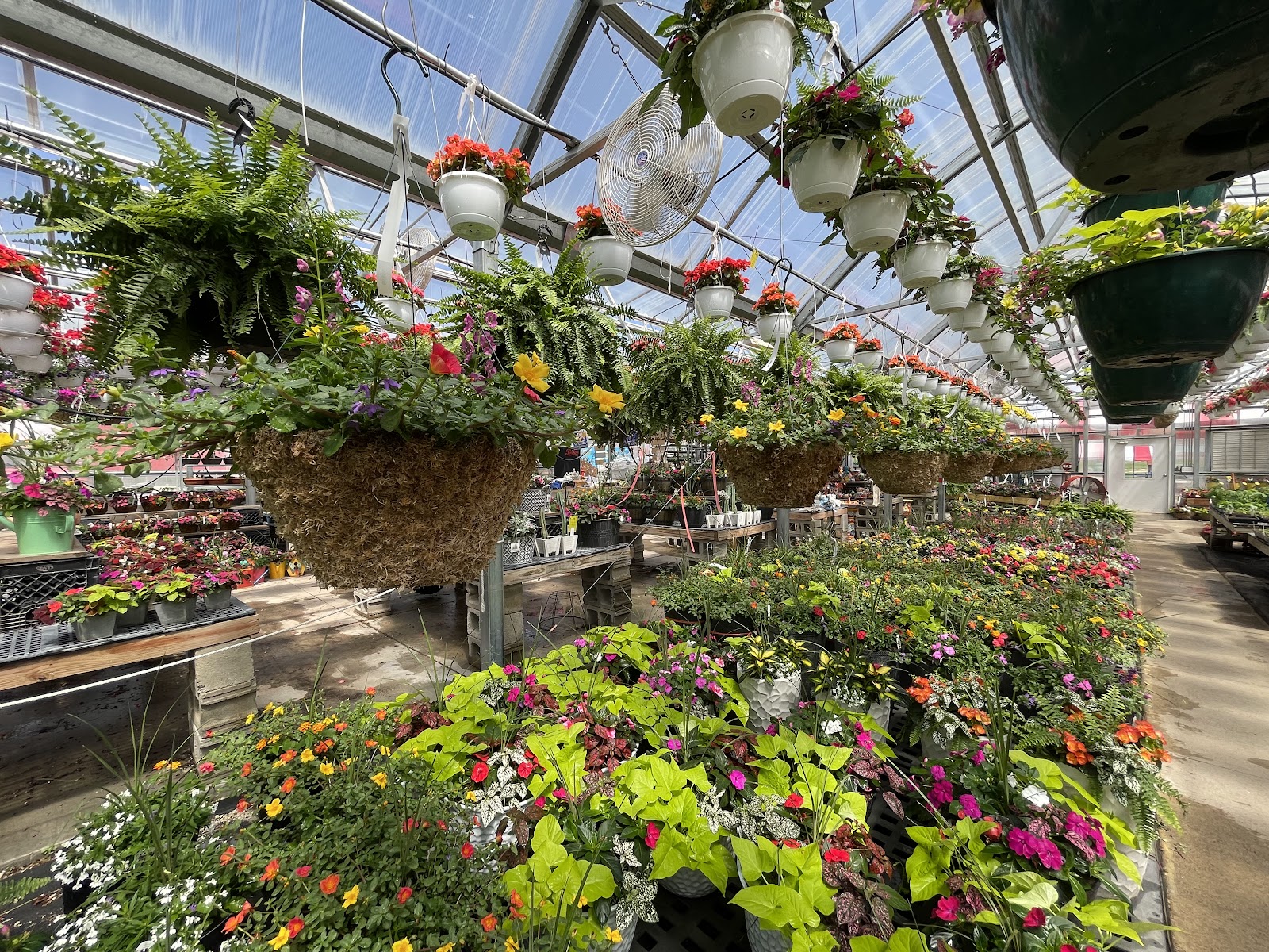 Windy Acres Farm