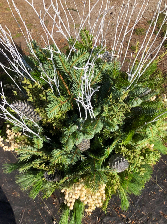 Windy City Garden Center