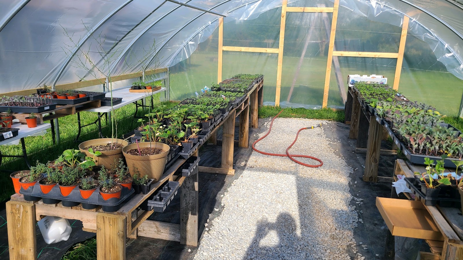 Windy Hill Greenhouse and​ Honey