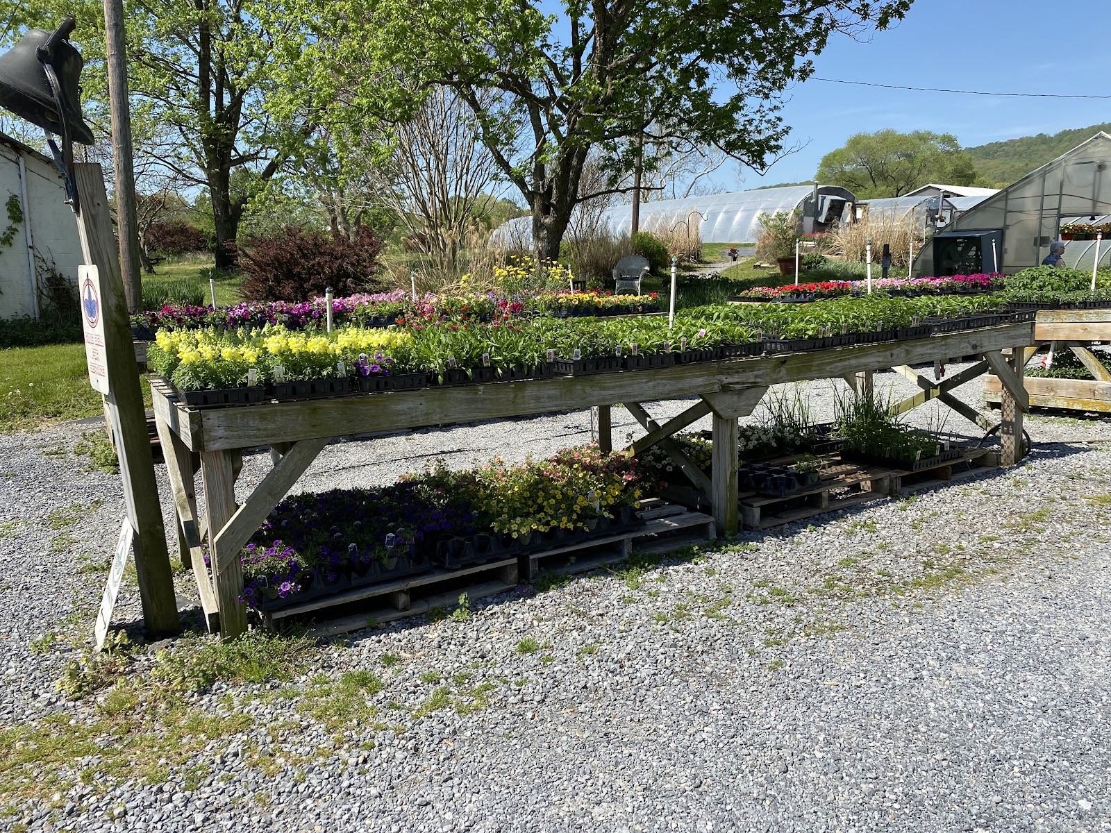 Wipledale Farm Greenhouse, Inc