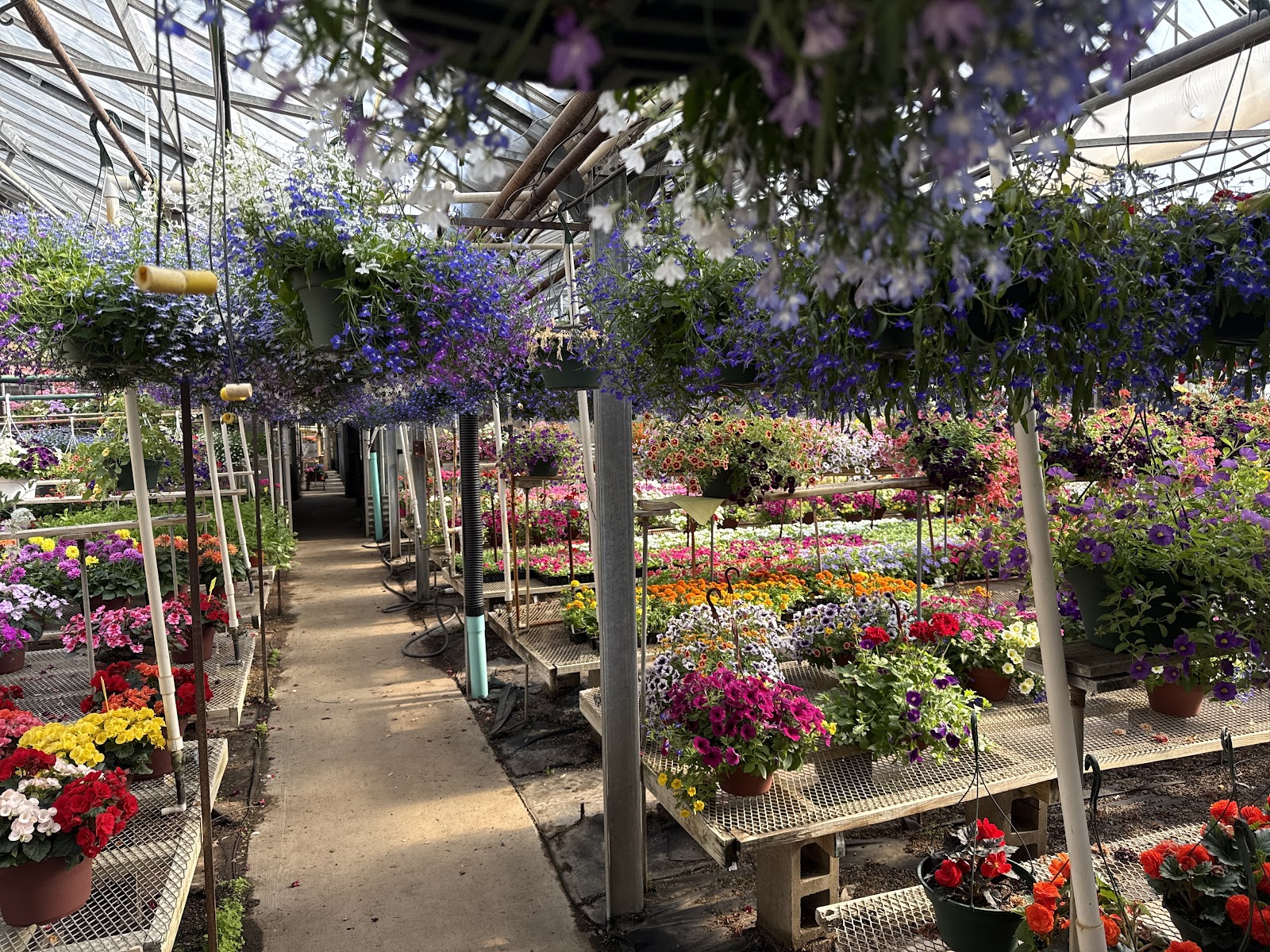 Wise Greenhouse