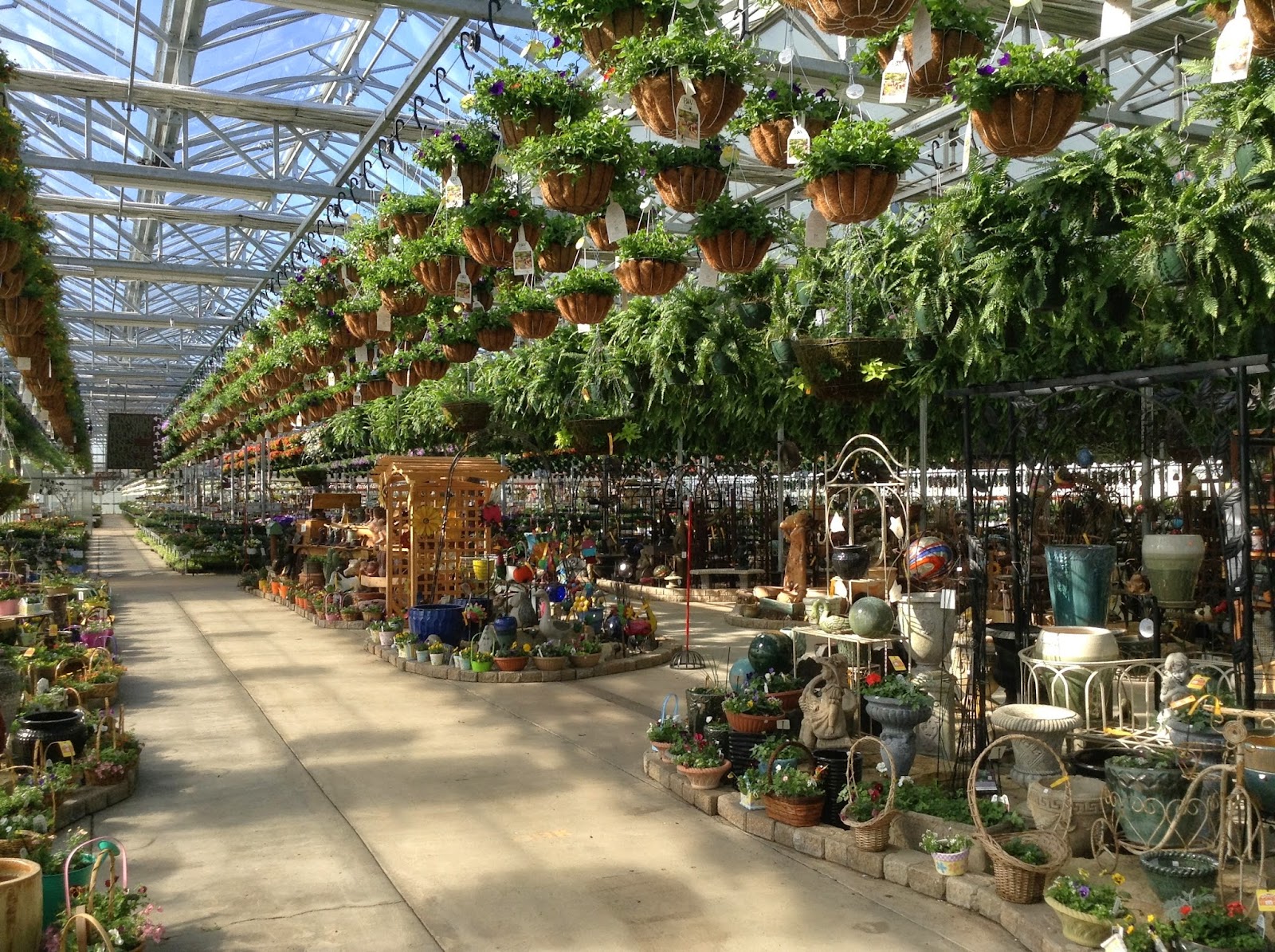 Woldhuis Farms Sunrise Greenhouse, Inc
