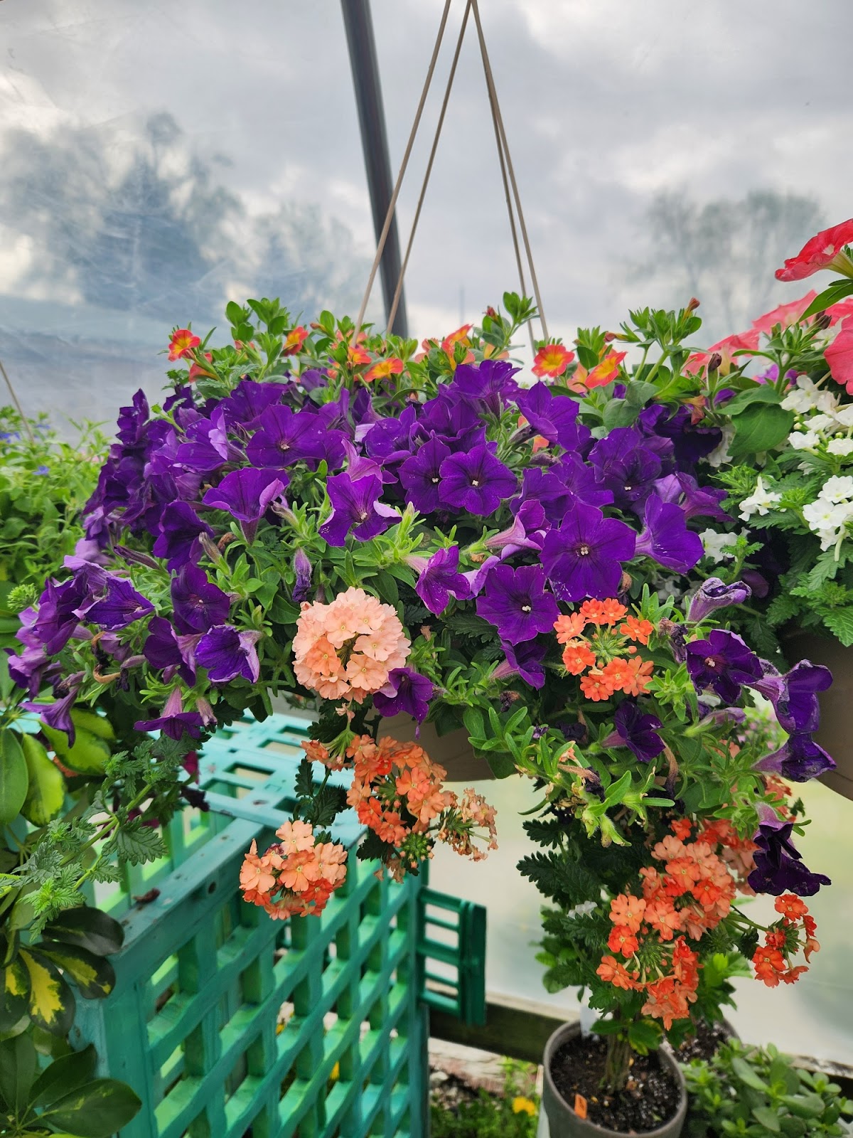 Wolf Ridge Gardens & Greenhouse
