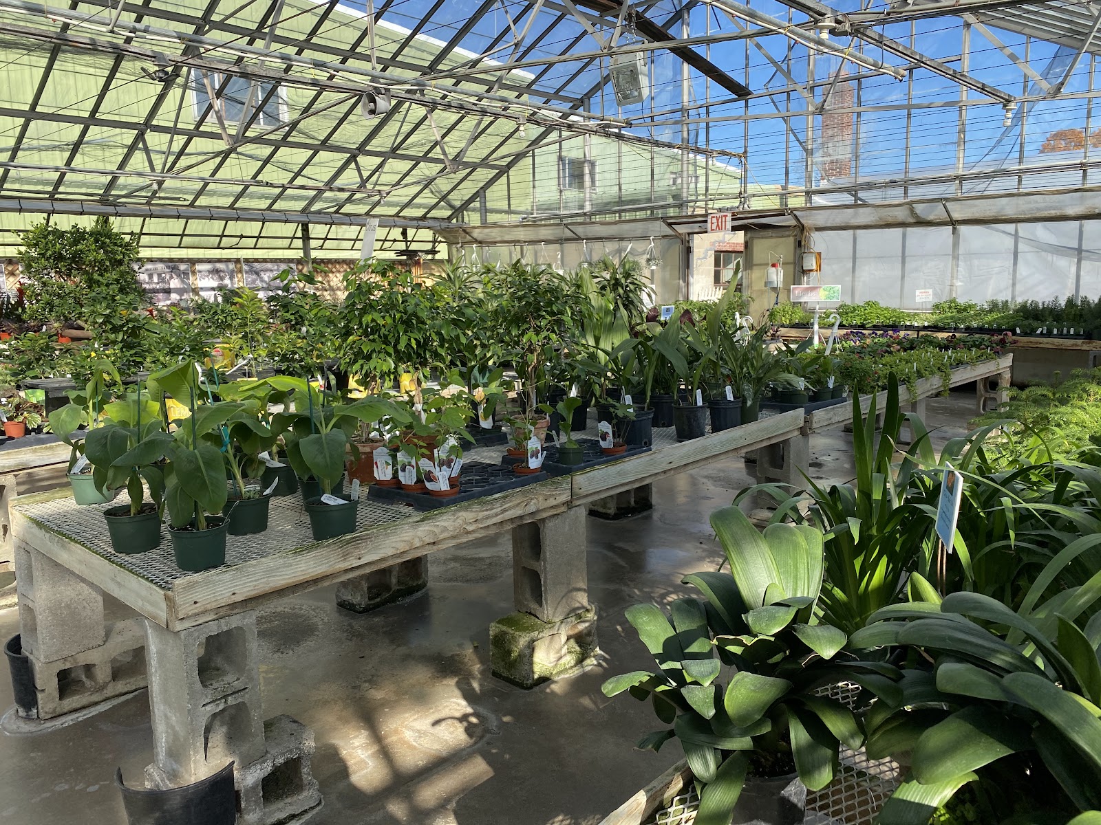 Woodland Gardens