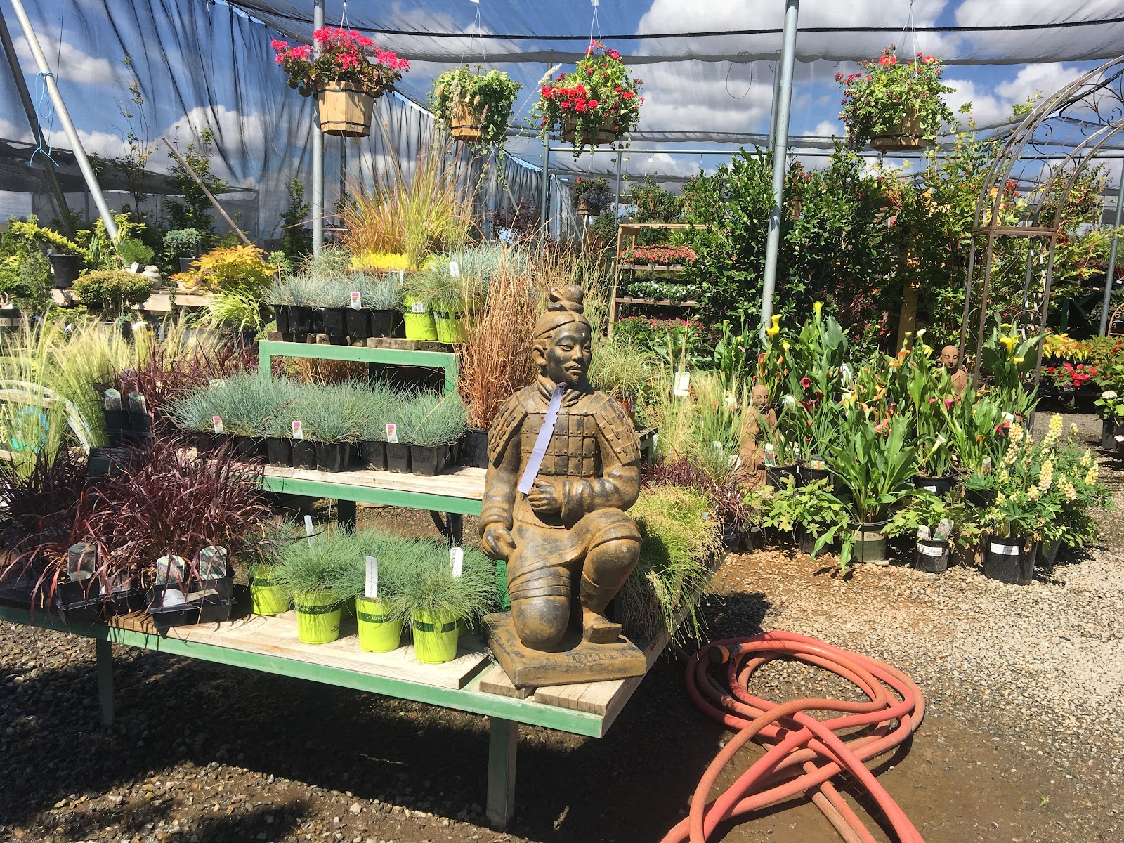 Wyntour Gardens