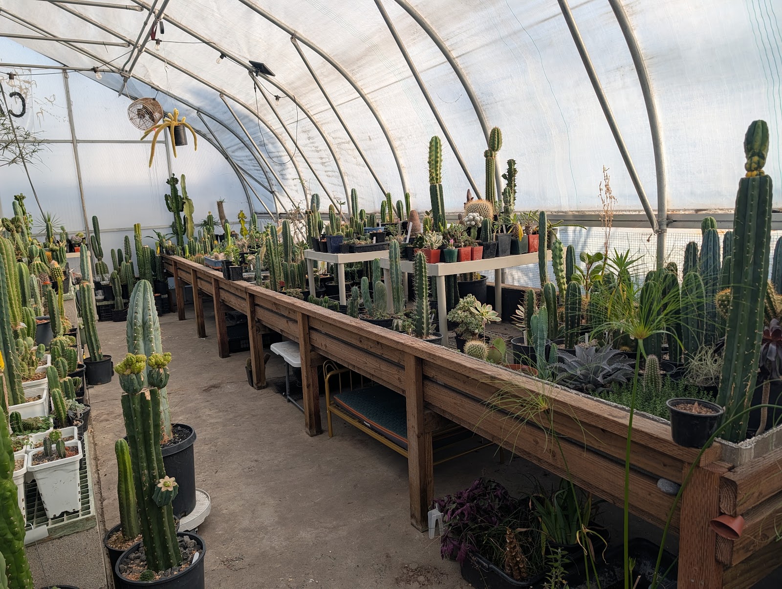 xeritopia greenhouse