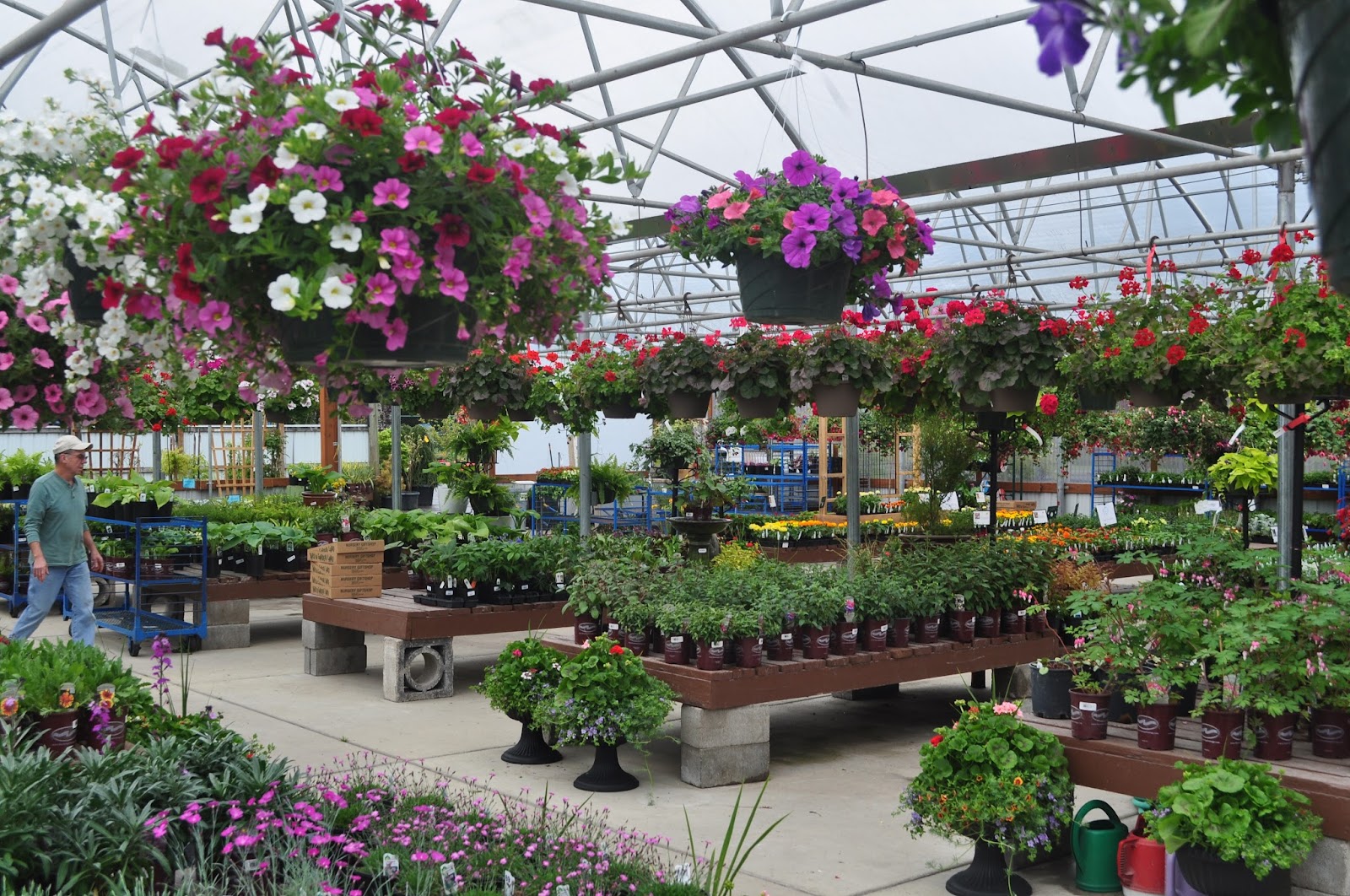 Yard 'n Garden Land Inc