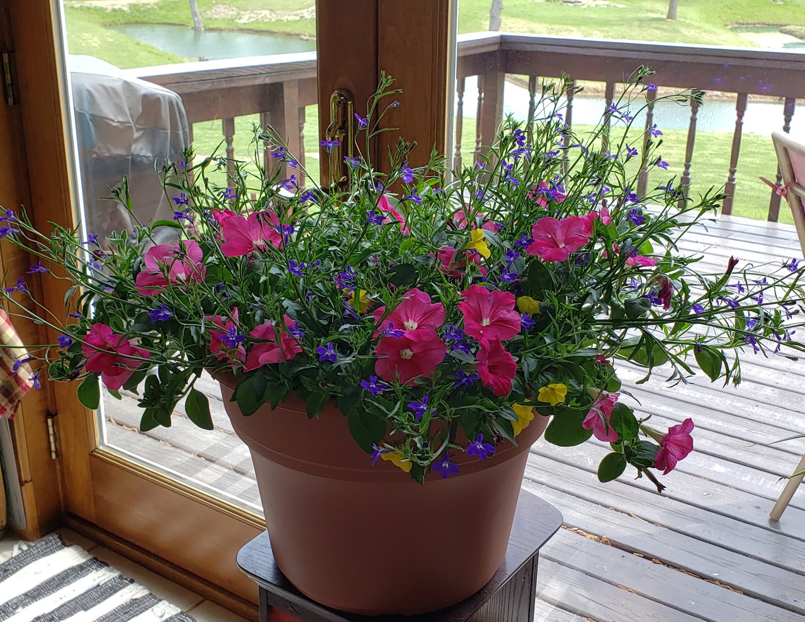 Yates City Greenhouse