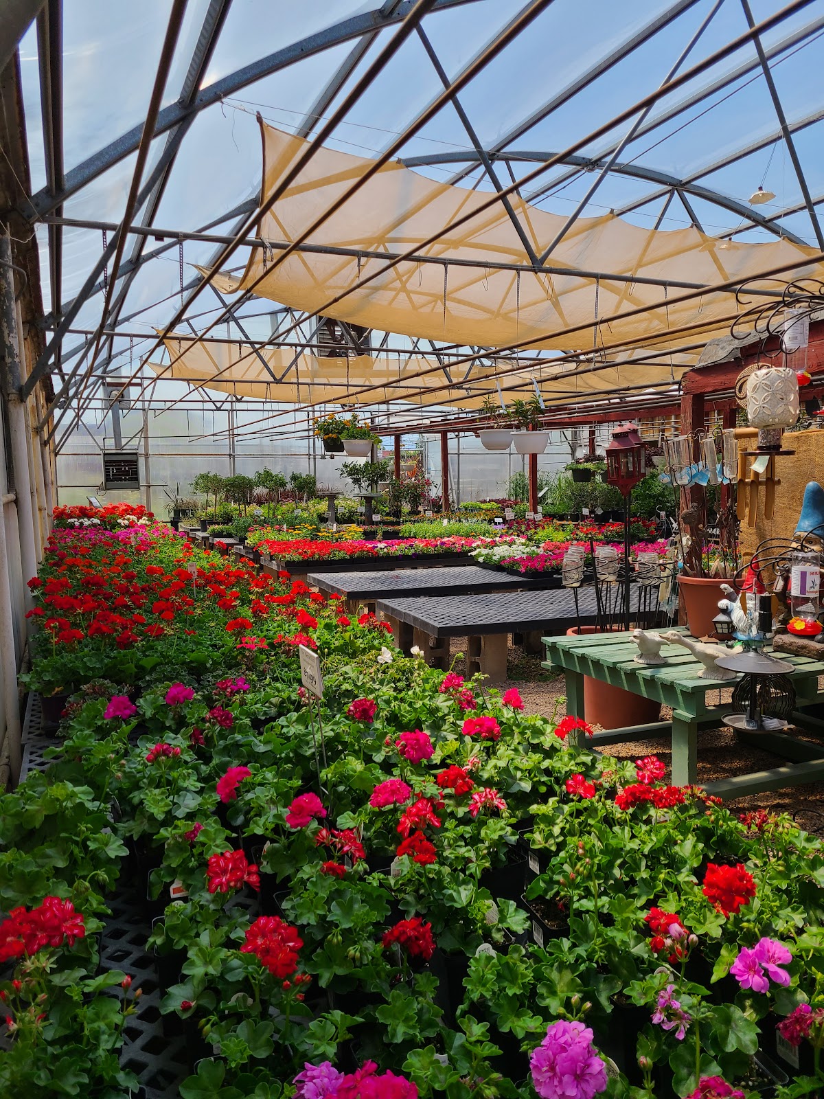 Young's Market & Garden Center