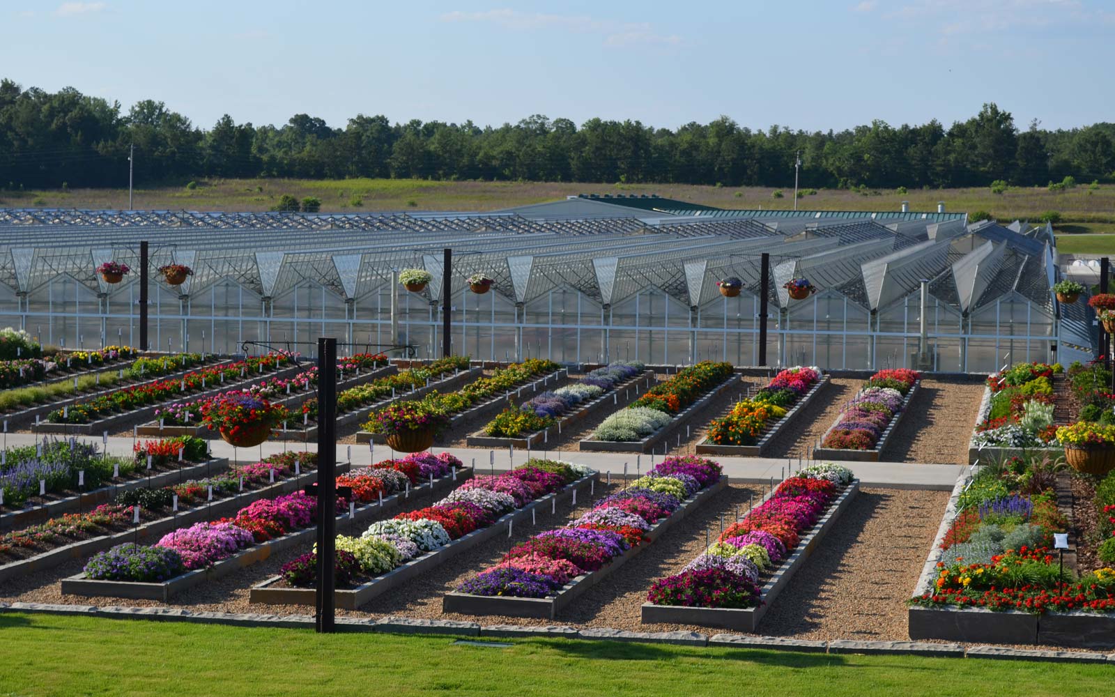 Young's Nursery