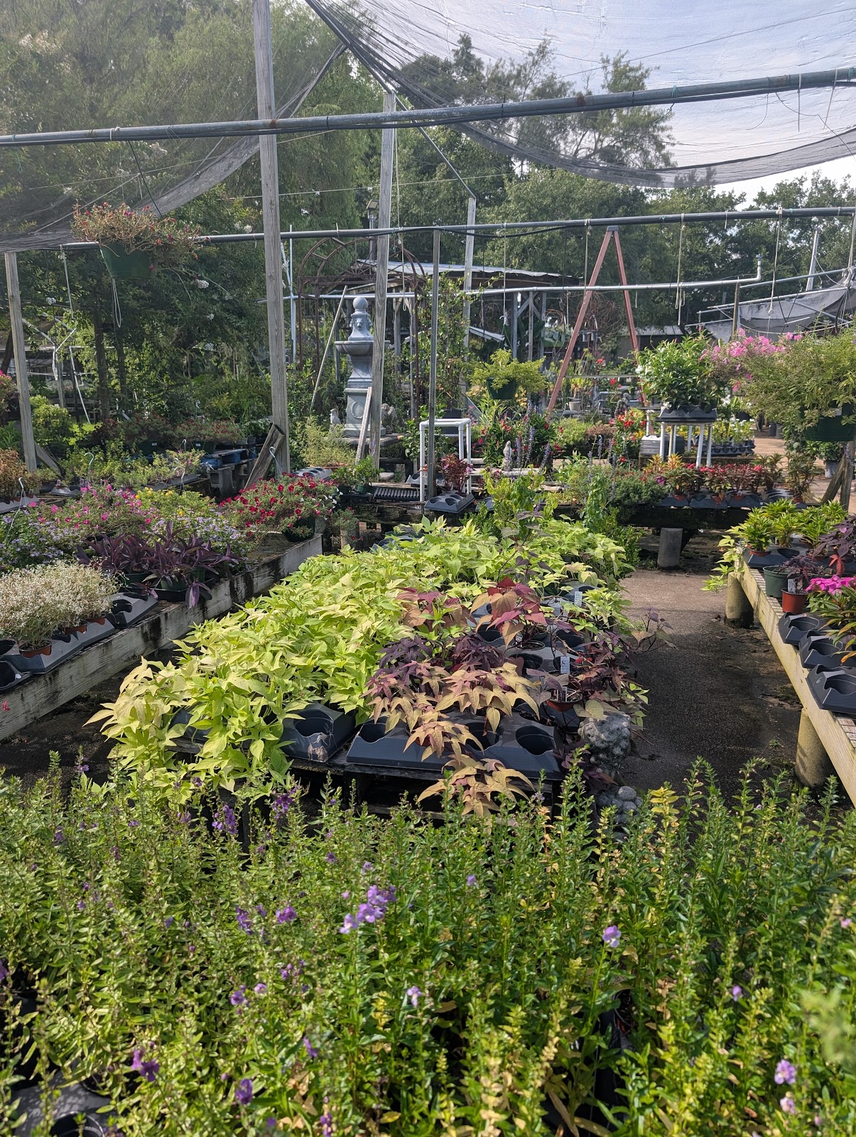 Zimlich's Patio & Garden Center