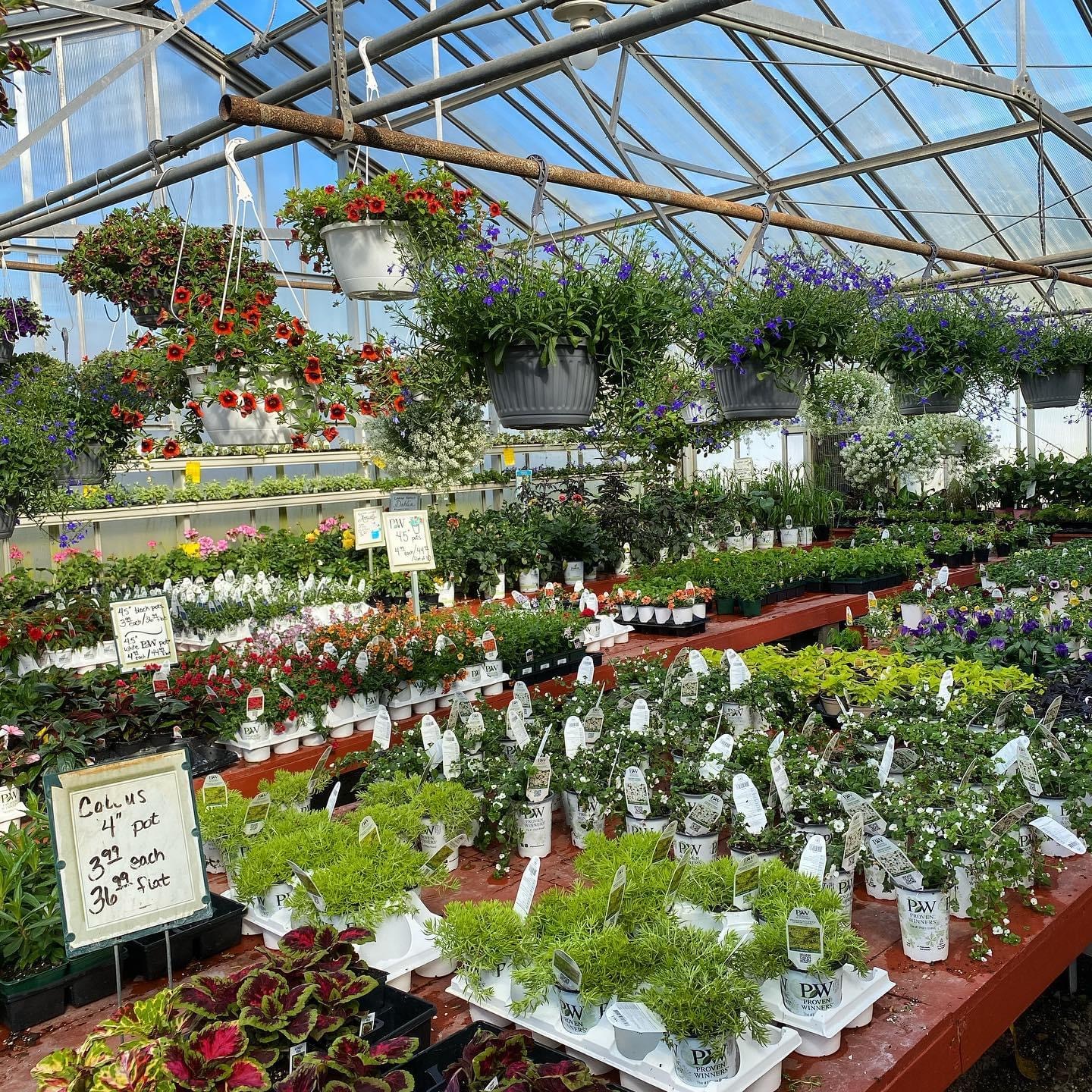 Zoner's Greenhouse